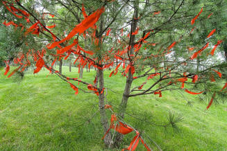 Tree with Prayer Flags, China