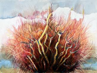 Red Birch, Sierra Snow, Lone Pine