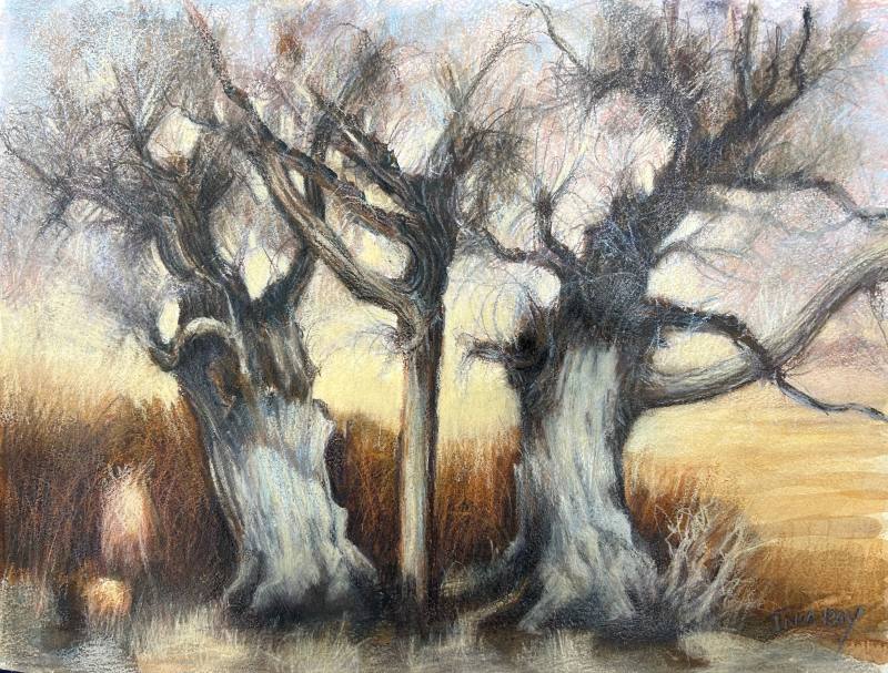 Winter Tree Trio, Bishop